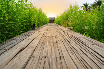 bamboo walkway path that are surrounded by flower field