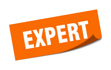 expert sticker. expert square isolated sign. expert