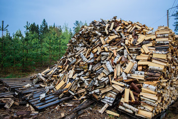 Pile of chopped fire wood.