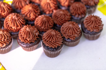Chocolate Cupcake Desert Frosting