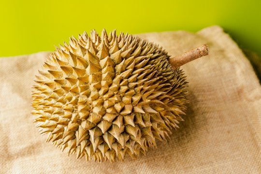 Durian