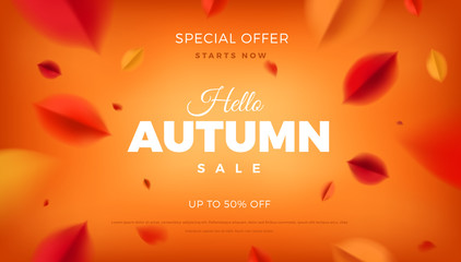 Autumn sale banner background with red leaves, fall nature vector promo design elements. Web layout template