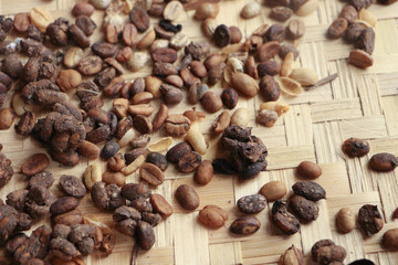 Indonesia Luwak coffee -kopi or or civet coffee is a unique, fine and exotic coffee and the most expensive in the world.Kopi is the Indonesian word for coffee