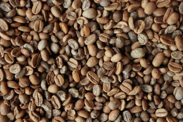 Indonesia Luwak coffee -kopi or or civet coffee is a unique, fine and exotic coffee and the most expensive in the world.Kopi is the Indonesian word for coffee