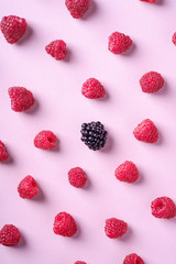 Raspberry sweet organic juicy berries with single blackberry, pattern, texture, on pink paper background, flat lay