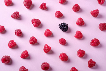 Raspberry sweet organic juicy berries with single blackberry, pattern, texture, on pink paper background, flat lay