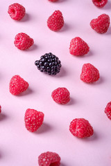 Raspberry sweet organic juicy berries with single blackberry, pattern, texture, on pink paper background, macro