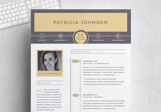 Gray and Gold Resume Layout with Photo