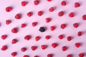 Raspberry sweet organic juicy berries with single blackberry, pattern, texture, on pink paper background, flat lay