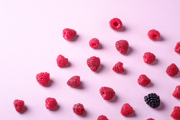 Raspberry sweet organic juicy berries with single blackberry, pattern, texture, on pink paper background, flat lay