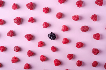 Raspberry sweet organic juicy berries with single blackberry, pattern, texture, on pink paper background, flat lay