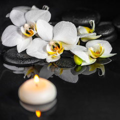 Fototapeta na wymiar spa concept of white orchid (phalaenopsis), candles and black zen stones with drops on water with reflection