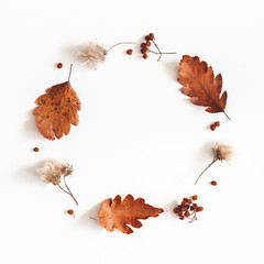 Autumn composition. Wreath made of dried leaves, flowers, rowan berries on white background. Autumn, fall, thanksgiving day concept. Flat lay, top view, copy space, square