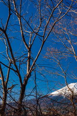 Mt. Fuji at kawaguchiko Fujiyoshida, Japan.