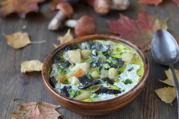 soup from mushrooms aspen  .wild mushroom . 