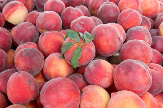 Delicious juicy ripe peaches background