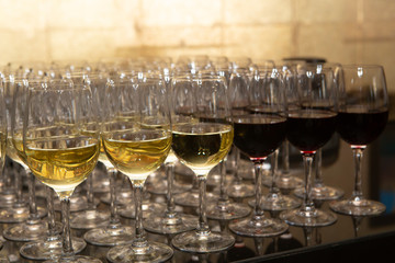 Many glasses of different wine in a row on bar counter