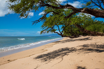 Strand auf Maui in Hawaii