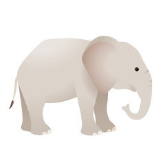 Cartoon elephant vector isolated on white