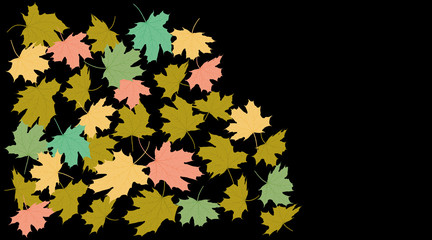 Flying maple green pink and yellow leaves on black background