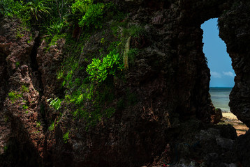 自然のグラデーション