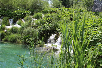 Nationalpark Plitvicer Seen Kroatien