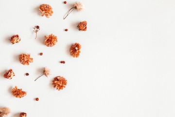 Autumn composition. Pattern made of dried flowers, berries on gray background. Autumn, fall, thanksgiving day concept. Flat lay, top view, copy space