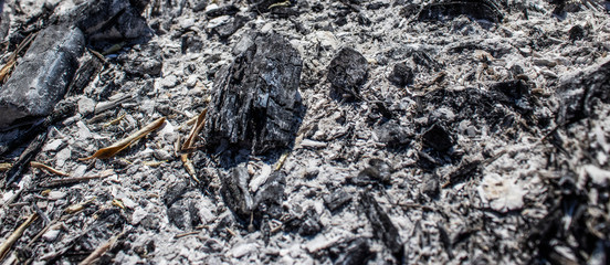 Coals after a fire in the grill and dry leaves