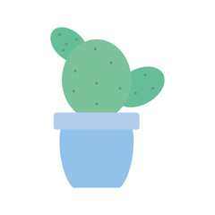 exotic cactu plant in ceramic pot
