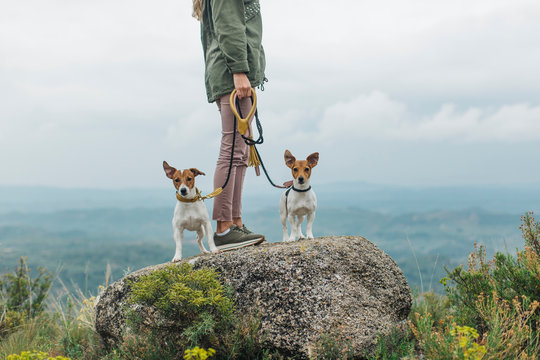 Woman walking with her two dogs