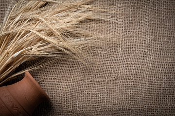 Yellow dry spikelets of wheat on a burlap with a clay pot. Place for text. Still life close up. Top view.