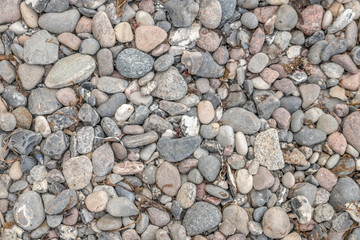 Gray pebbles on the sea beach with dried seagrass and algae deposits