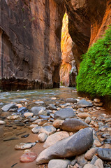 Wall Street portion of the Narrows hike in the Virgin River of Zion National Park. - 281294739