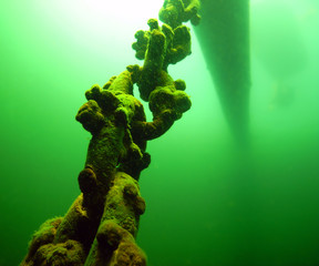 A rusty mooring chain anchors a log in a lake.