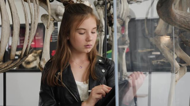 Teenager cute girl makes draw sketches in graphic tablet of animal skeletons in museum of nature as part of school task of biology