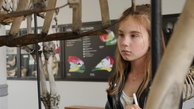 Teenager cute girl makes draw sketches in graphic tablet of animal skeletons in museum of nature as part of school task of biology
