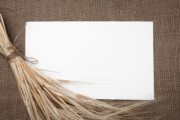 Yellow dry spikelets of wheat on burlap and white space for text. Still life close-up. Top view.