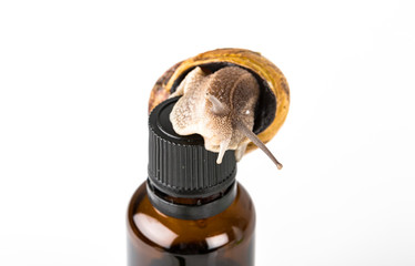 Cosmetics made with snail slime. Very healthy and organic products