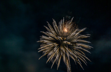 Beautiful firework