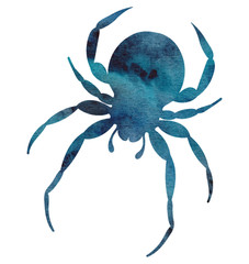 watercolor hand painted spider silhouette with night sky galaxy effect isolated on white