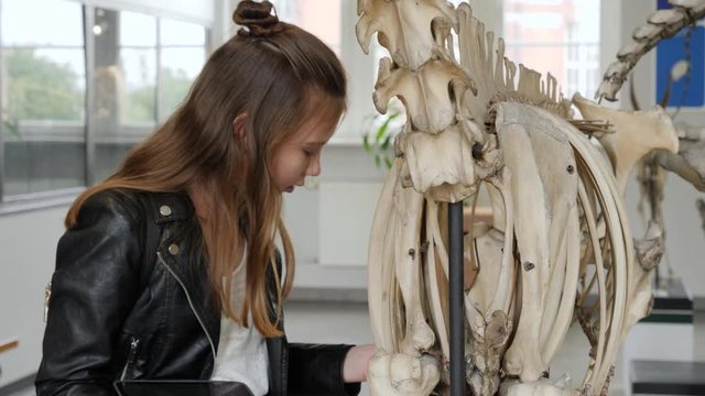 Teenager cute girl makes draw sketches in graphic tablet of animal skeletons in museum of nature as part of school task of biology