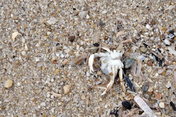 Im Sand am Strand