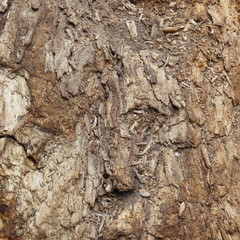 wood, firewood, texture, monochrome natural background