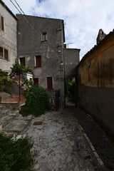 Naklejka premium cleto