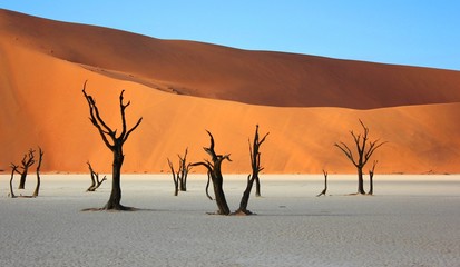 Dead trees and sand dunes at Deadvlei Namibia.