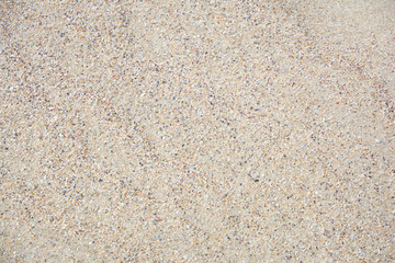 Beach sand on sea shore. Texture of natural sand with shells on beach.