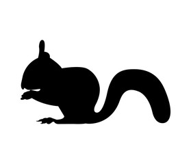 black squirrel silhouette on white background