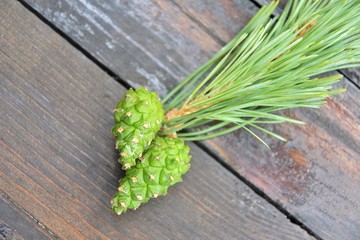 Young green pine cones on a fir branch with evergreen needles with selective focus on blurred wooden background. Unopened green pinecone on natural backdrop with empty space for text. Coniferous seeds