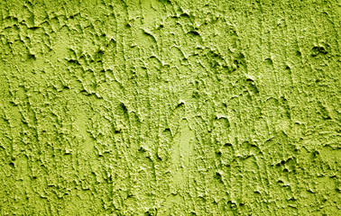 textured background with space for text. Texture rough plaster on the wall of concrete. Green