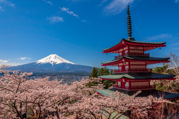 Chureito Pagoda and Mt. Fuji in the spring time with cherry blossoms at Fujiyoshida, Japan.
